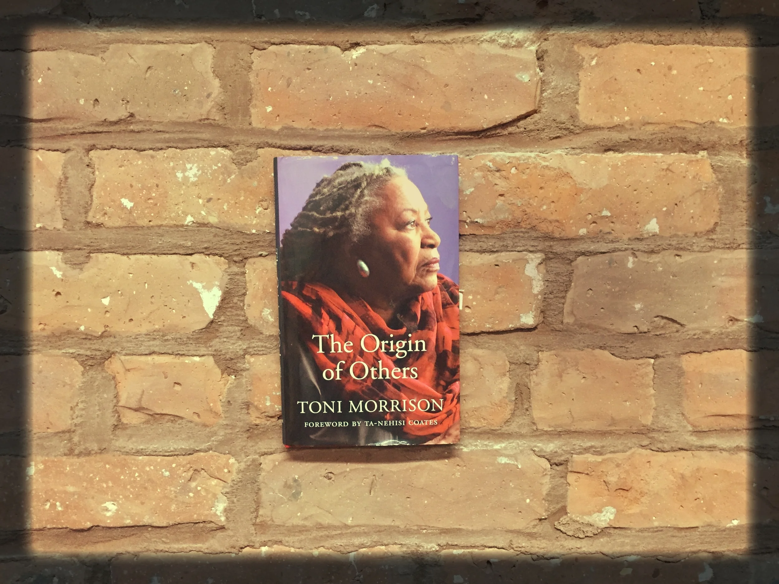 洋書 Toni Morrison and Literary Tradition theoriginofotherstonimorrison.